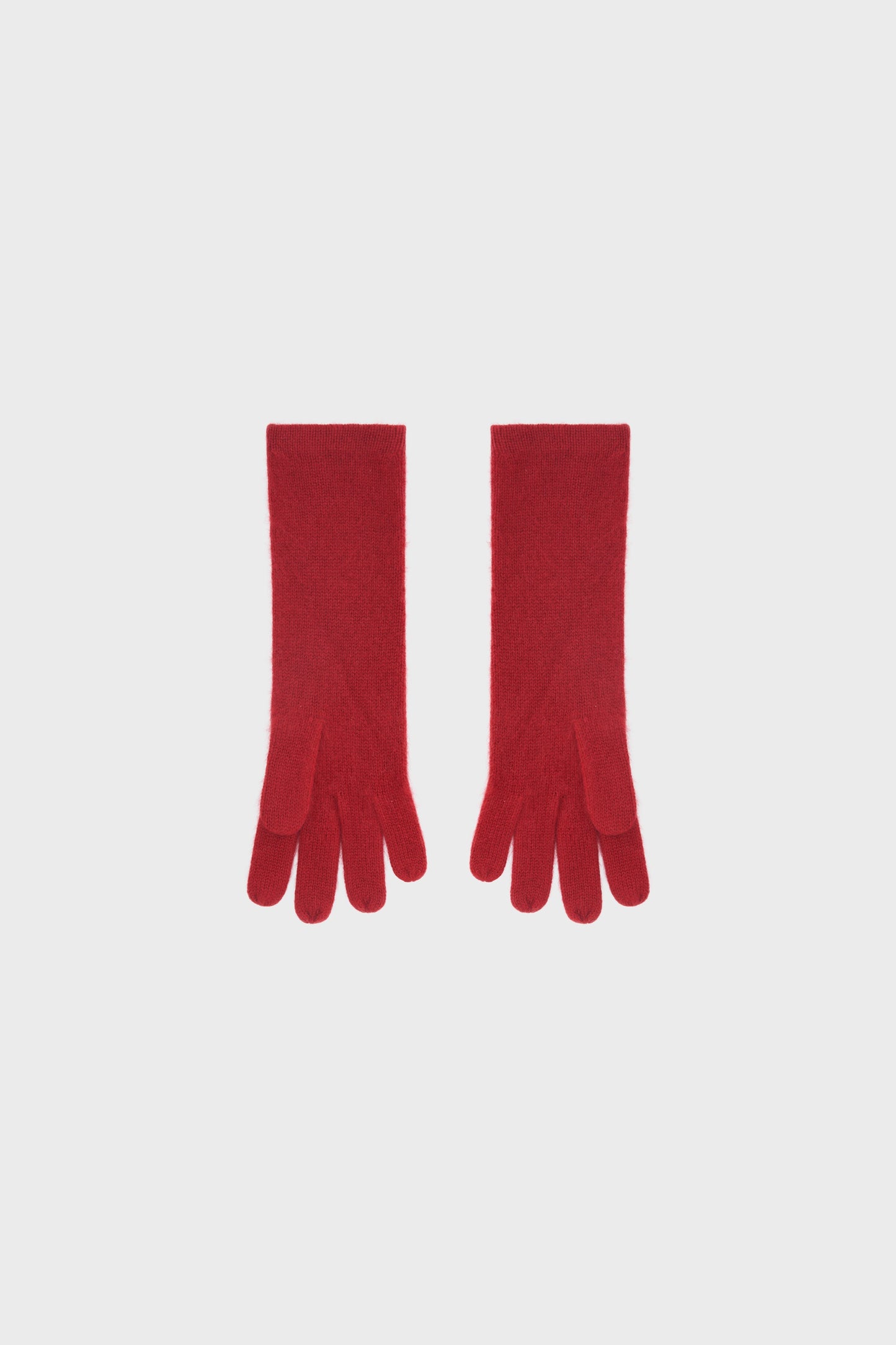 Long Gloves in Cashmere