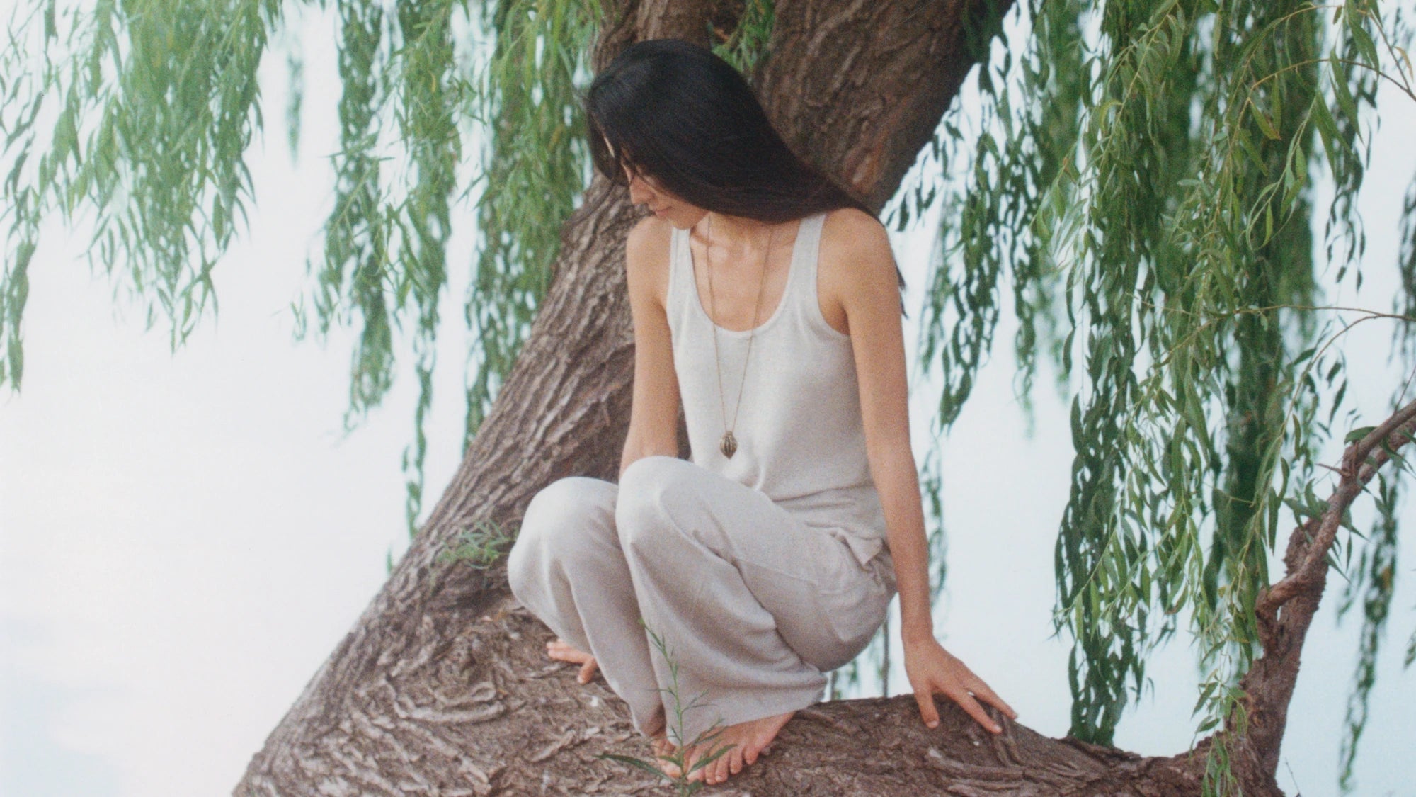 COLLECTION TERRE