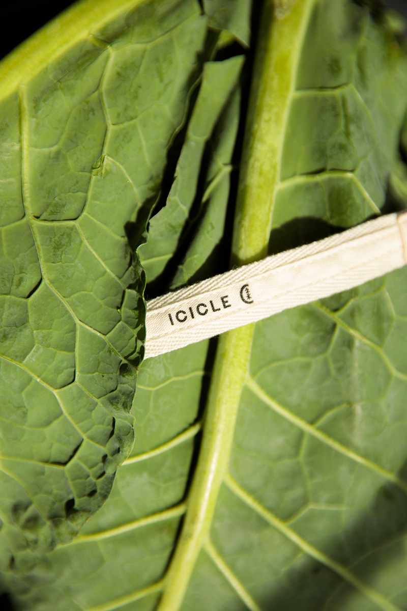 natural dye kale